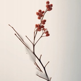 Poszter 50x50cm A tél finom ereje