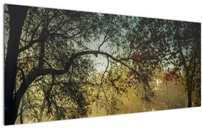 Napkelte képe (120x50 cm)