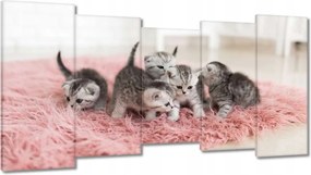 Képek 150x80 Cica Cicák