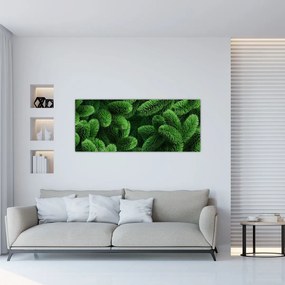 Kép - Tűlevelű gallyak (120x50 cm)