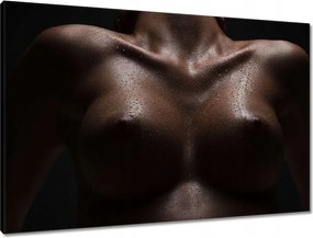 Vászonkép 90x60 Aktok Meztelenség Szerelem Fotó