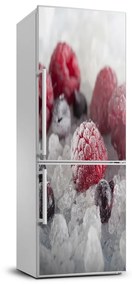 Dekor matrica hűtőre Fagyasztott gyümölcs FridgeStick-70x190-f-90017236