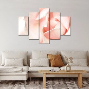 Kép - Rózsák (150x105 cm)