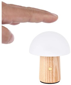 Natúr színű kőrisfa LED dimmelhető asztali lámpa (magasság 7 cm) Alice – Gingko