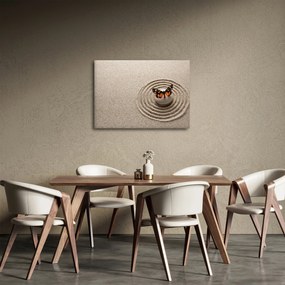 Kép - Zen kert (70x50 cm)