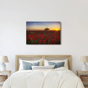 Pipacsos rét képe (90x60 cm)