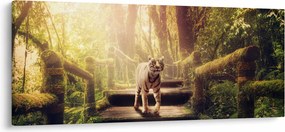 Tigris képe (120x50 cm)