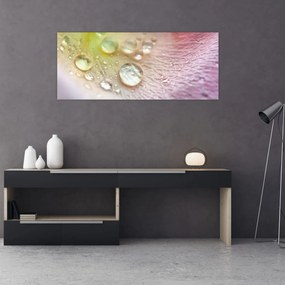 Kép - Harmatcseppek (120x50 cm)