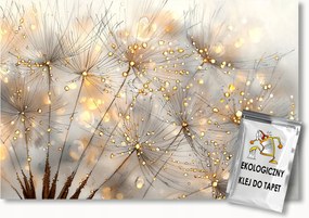 Fotótapéta Flizelina Természet Növény Virág Pitypang Makró 200x140 ragasztó