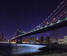 Poszter 60x50cm Manhattan híd és Alsó-Manhattan panoráma, Assaf Frank