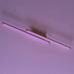 Eglo 97906 - FRAIOLI-C LED RGB dimmelhető mennyezeti lámpa 2x17W/230V