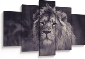 Oroszlán képe (150x105 cm)