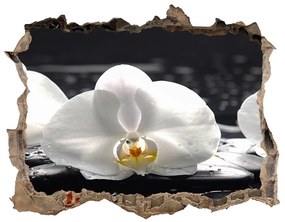 3d-s lyukat fali matrica Orchidea nd-k-62952104