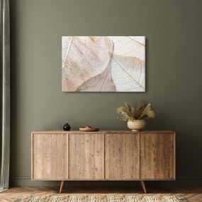 Kép - Bézs levelek (90x60 cm)