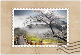 Poszterek 90x60 Japán Virágzó cseresznye