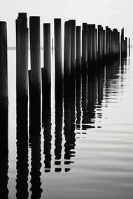 Poszter 61x91,5cm VĂz Ă©s fa ritmus