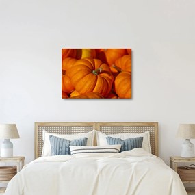 Kép - Nagyszerű sütőtök (70x50 cm)