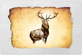 Poszter 60x40 Szarvas szarvakkal