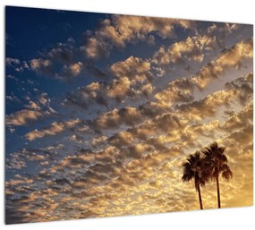 Kép - Pálmafák a felhők között (üvegen) (70x50 cm)