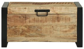 Tároló ládák 60x30x30cm Tömör Mangófából és Fém