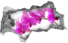 3d-s lyukat fali matrica Rózsaszín orchidea nd-b-67691978