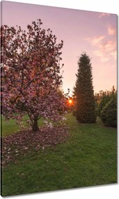 Festmények 70x100 Kilátás Tájkép