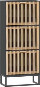 vidaXL fekete szerelt fa cipősszekrény 52x25x120 cm