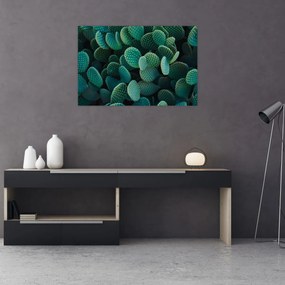 Kép - Opuntia (90x60 cm)