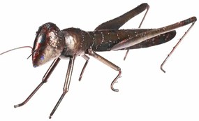 Fém kerti dekoráció, szöcske, 37 x 12 x 14 cm