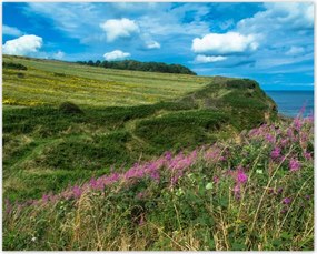 Poszterek 50x40 Virágos rét a tengerparton
