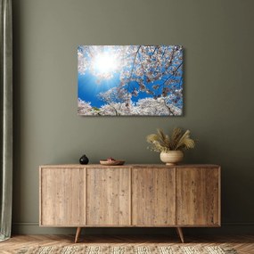 Kép - Cseresznyevirág (90x60 cm)