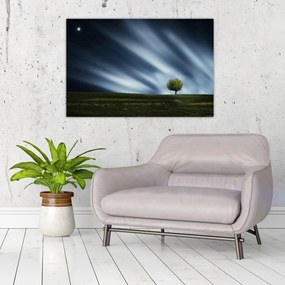 Az aurora borealis képe egy lápvidéken (90x60 cm)