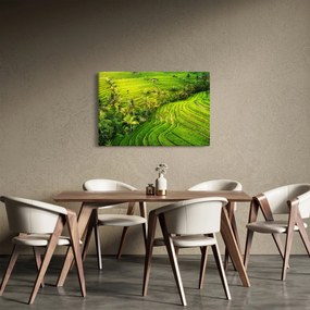 Kép - Rizs teraszok (90x60 cm)