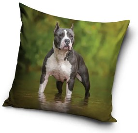 Kutyás Amstaff párnahuzat 40x40 cm