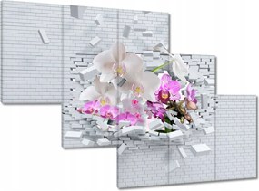 Festmények 150x105 Orchidea a falban