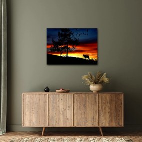 Kép - Farkas sziluettje (70x50 cm)