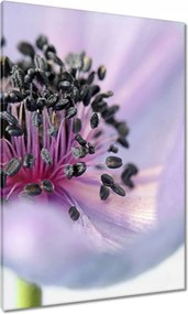 Vászonkép 70x100 Finom porzószálak