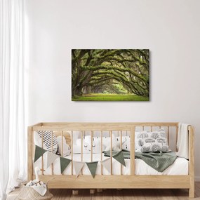 Kép - Oaks Avenue, Charleston, Dél-Karolina, Egyesült Államok (90x60 cm)