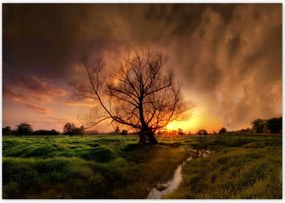 Poszterek 100x70 Tölgy a croissant-ban Nyugat