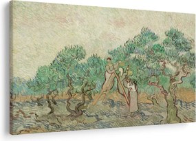 Kép - Vincent van Gogh, The Olive Orchard, reprodukciók (90x60 cm)