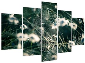 Kép - Pókháló (150x105 cm)