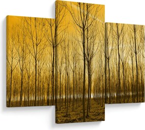 Kép - Faültetvény (90x60 cm)