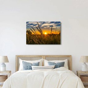 A mező naplementekor képe (90x60 cm)