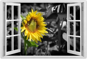 Poszterek 90x60 Napraforgó