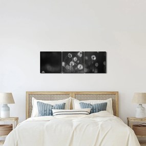 Kép - Pamutfű a réten (órával) (90x30 cm)
