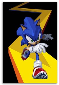 Gario Vászonkép Sonic - Nikita Abakumov Méret: 70 x 100 cm