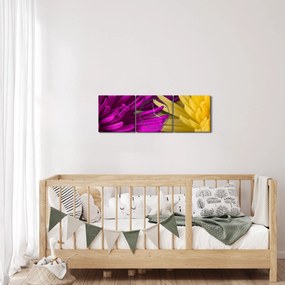 Kép - virág részlet (órával) (90x30 cm)