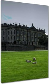 Vászonkép 80x120 Party hangulat