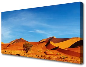 Vászonkép Fekvő sivatagi homok 125x50 cm