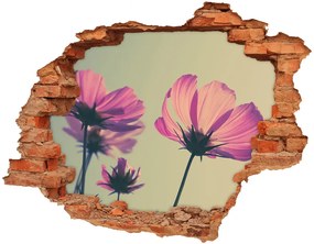 3d fali matrica lyuk a falban Rózsaszín virágok nd-c-104707608